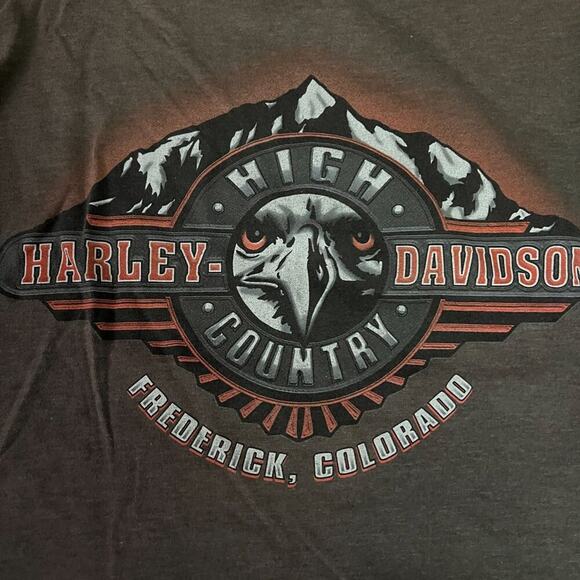 Vintage Y2K Oversized Harley Davidson Tee Grey Short Sleeve Mens Size Large - Picture 5 of 6